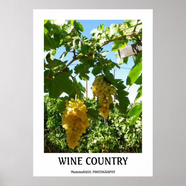 Belle affiche de la campagne du vin! (Devant)
