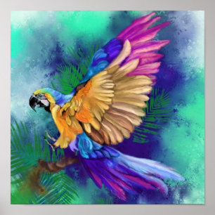 Belle affiche de perroquet coloré - Aquarelle
