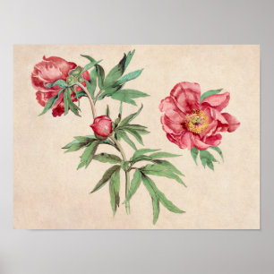 Belle affiche d'illustration Vintage