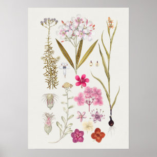 Belle affiche d'illustration Vintage