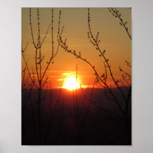 Belle affiche Nature Sunset Imprimer l'image