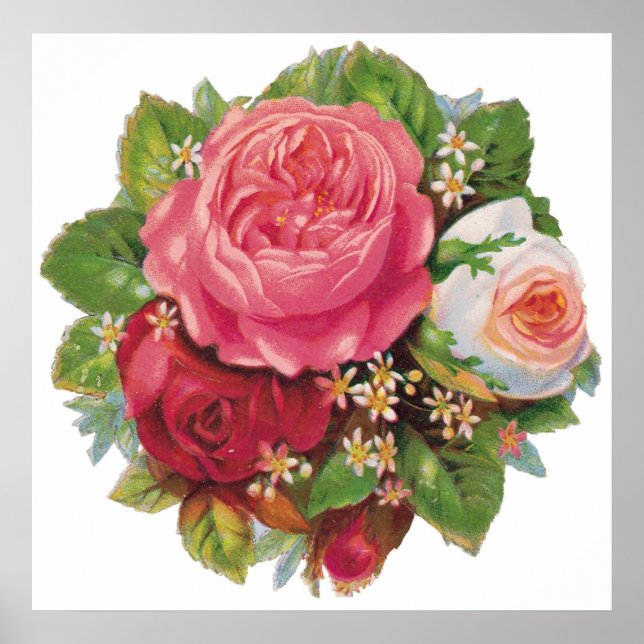 Belle affiche Rose Vintage (Devant)