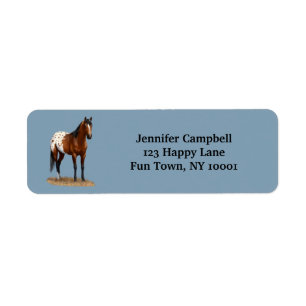 Belle Baie Appaloosa Horse