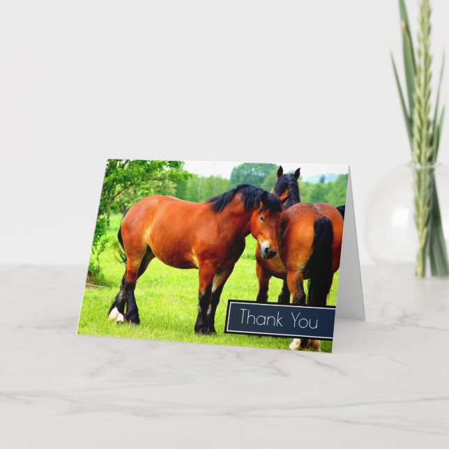Belle Baie Ébauche Chevaux Dans Un Merci De pré (Devant)