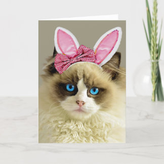 Belle Bleu Eyed Chat Bunny Oreilles Pâques Carte