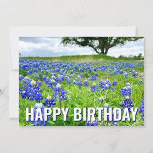 Belle Bluebonnets Photo Bonne carte d'anniversaire