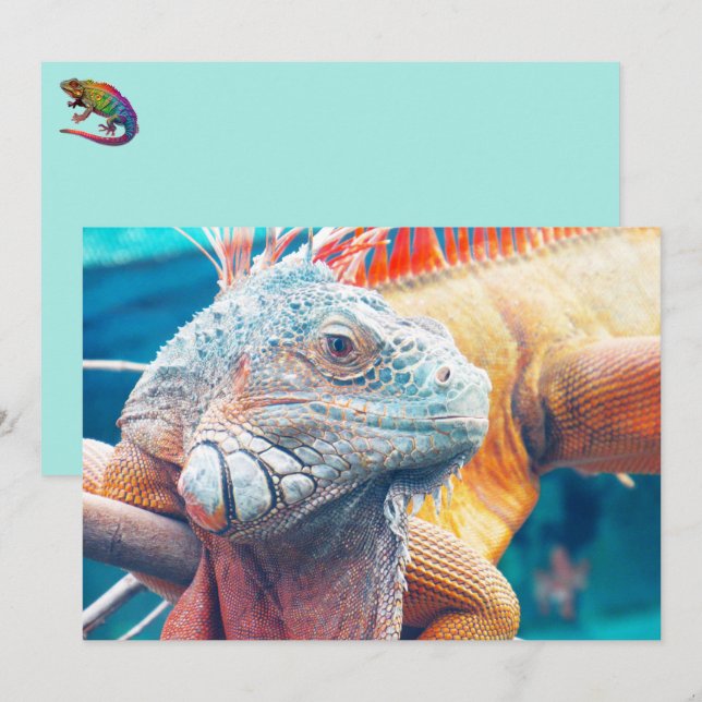 Belle carte à plat iguane (Devant / Derrière)