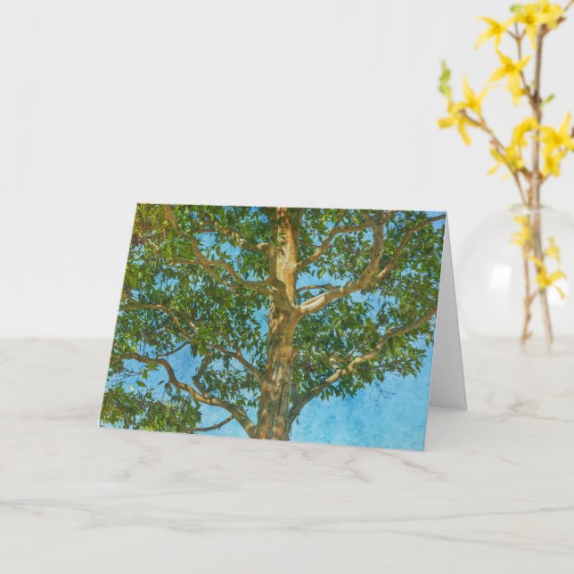Belle carte Arbre et Ciel bleu (Fleur jaune)