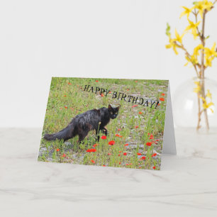 Belle carte d'anniversaire de Chat Noir!