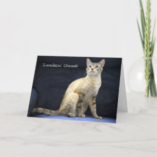 Belle carte d'anniversaire de chat pour personne s