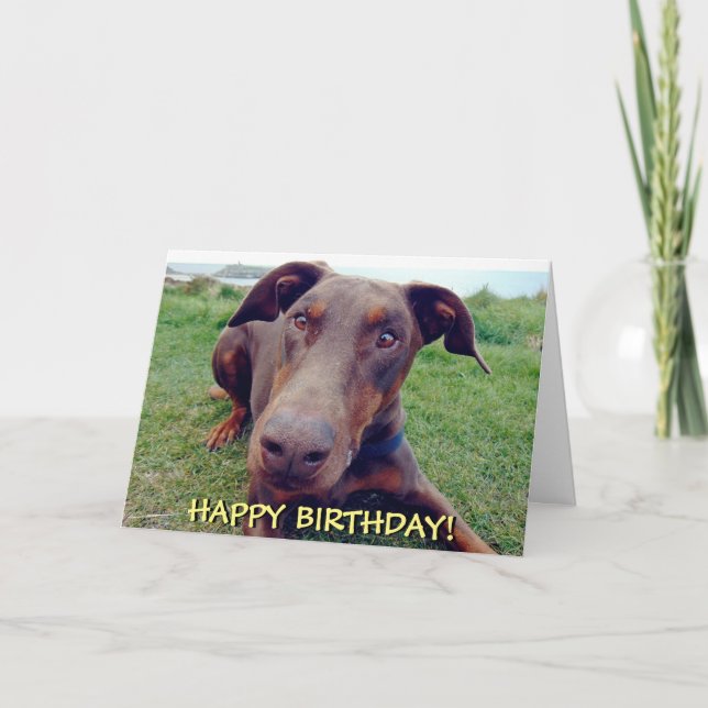 Belle carte d'anniversaire de doberman rouge (Devant)