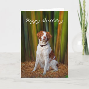 Belle carte d'anniversaire de la Bretagne
