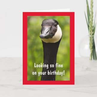 Belle carte d'anniversaire de l'oie du Canada
