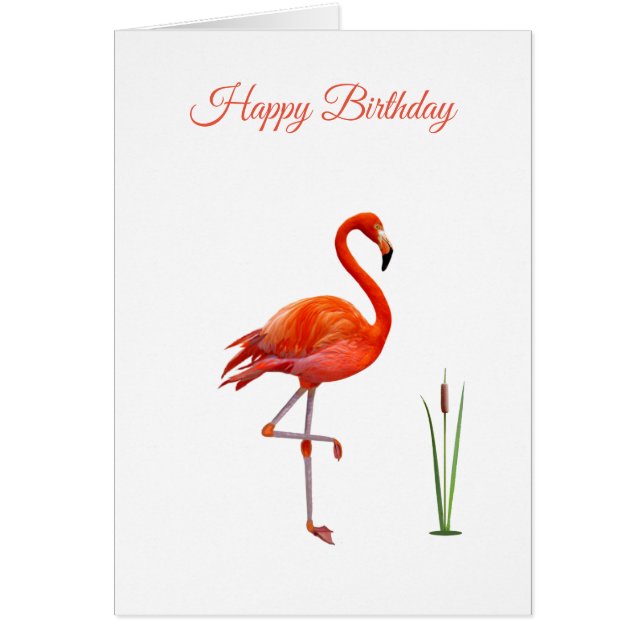 Belle carte d'anniversaire Flamant rose rose (Devant)