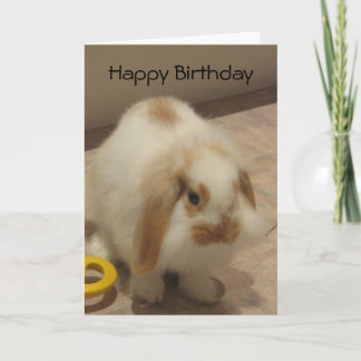 Belle Carte d'Anniversaire Rabbit