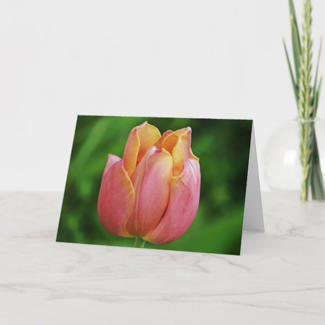 Belle carte d'art Tulip Rose (Devant)