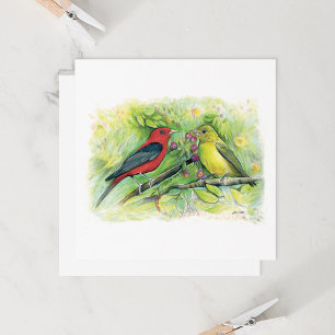 Belle carte de billet Couple Tanager Scarlet