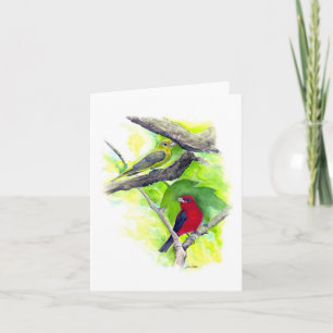 Belle carte de billet Couple Tanager Scarlet