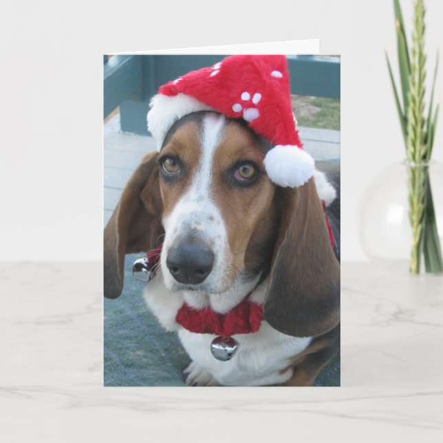 Belle carte de Noël Basset Père Noël (Devant)
