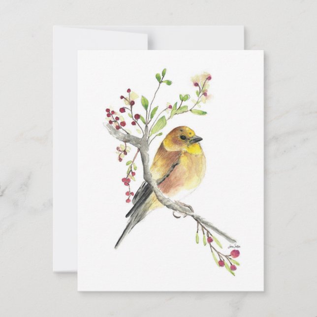 Belle carte de note aux oiseaux chanteurs américai (Devant)