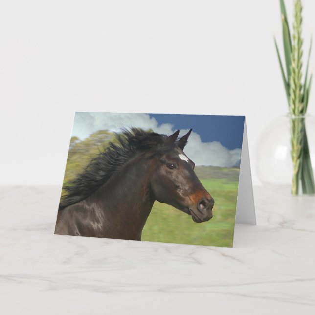 Belle carte de note blanche Cheval de course (Devant)