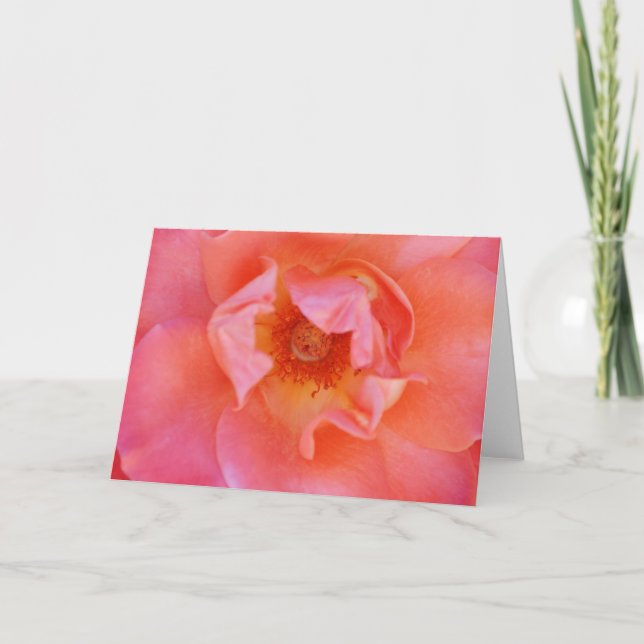 Belle carte de note d'art Rose rose (Devant)