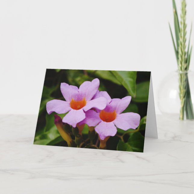 Belle carte de note de Fleurs Mandevilla Rose (Devant)