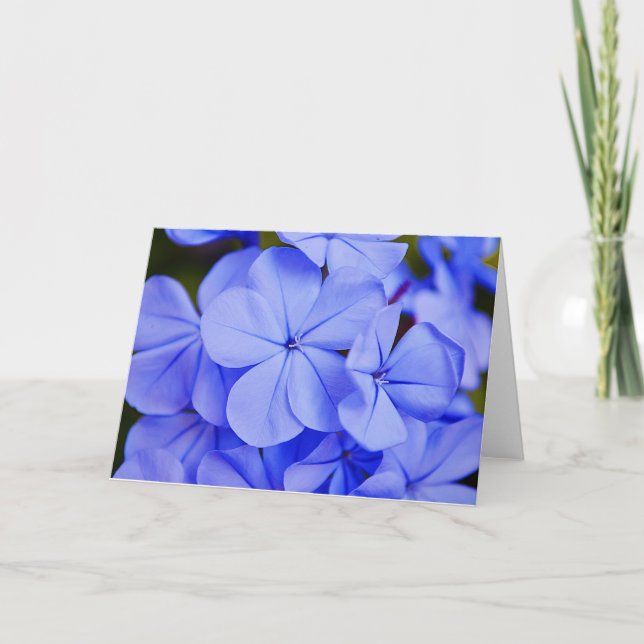 Belle carte de notes Blue Tropical Flowers (Devant)