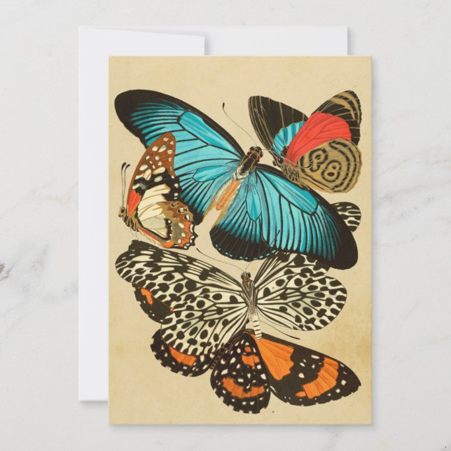Belle carte de papillons Vintage Garden (Devant)