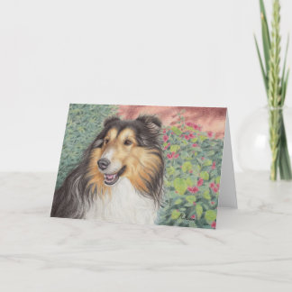 Belle carte de Sheltie