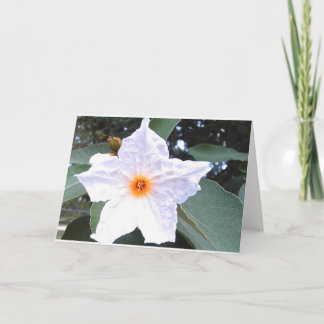 Belle carte de voeux blanche Fleur