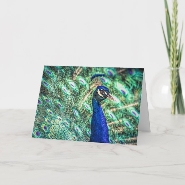 Belle carte de voeux bleu et vert Peacock (Devant)