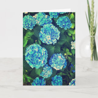 Belle carte de voeux bleue de blanc d'hortensia