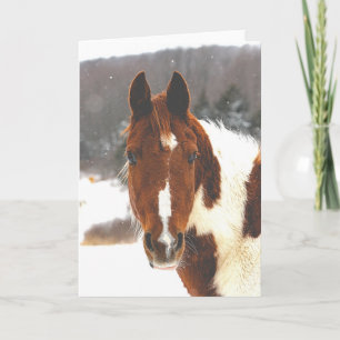Belle carte de voeux de cheval d'hiver