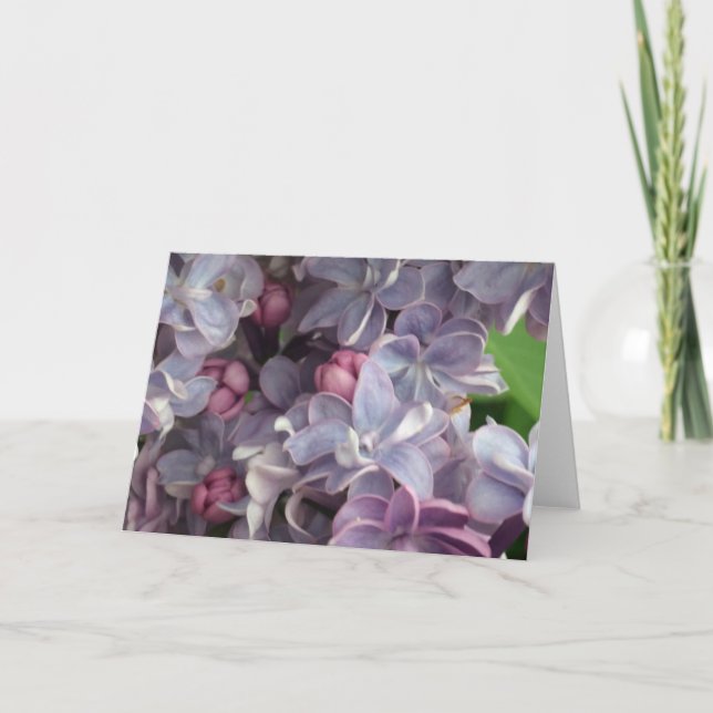 Belle carte de voeux Lilac (Devant)