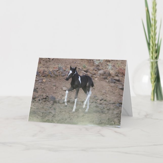 Belle carte de voeux pliée Colt sauvage (Devant)