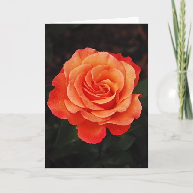 Belle carte de voeux rose simple orange (Devant)