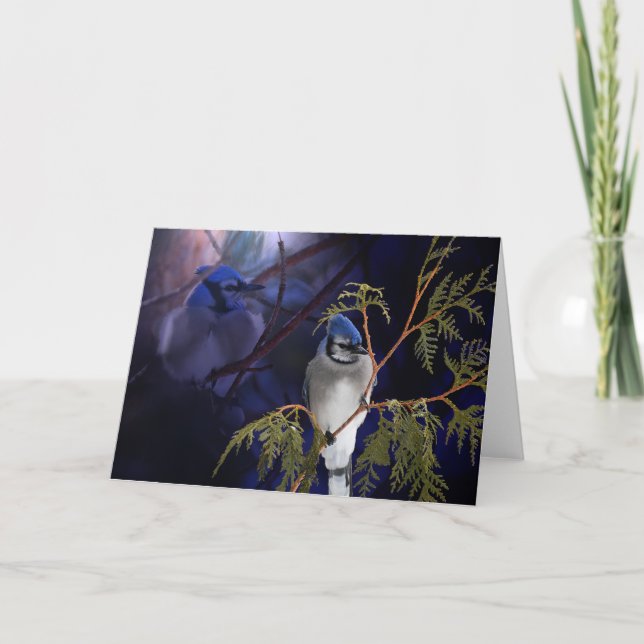 Belle carte d'oiseaux sauvages "Love" Blue Jay (Devant)
