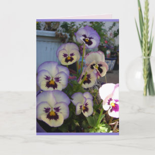 Belle carte florale de pensées bleues fleurs