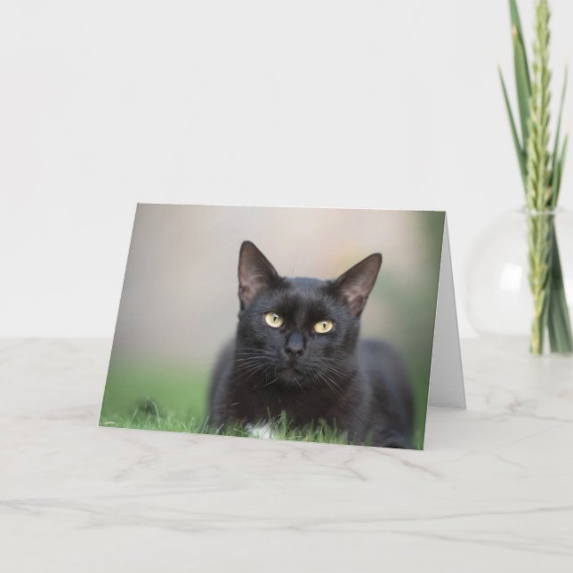 Belle carte Noir Cat Note (Devant)