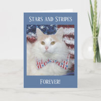 Belle carte patriotique de chat blanc et orange