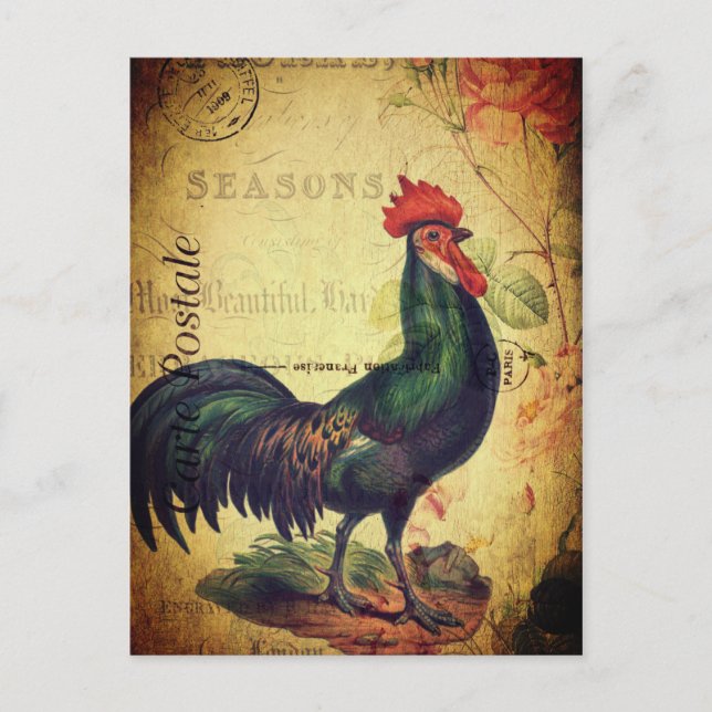 Belle carte postale de coq Vintage (Devant)