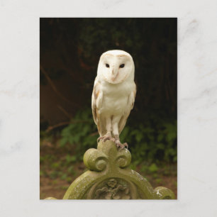 Belle carte postale de la Chouette des Granges