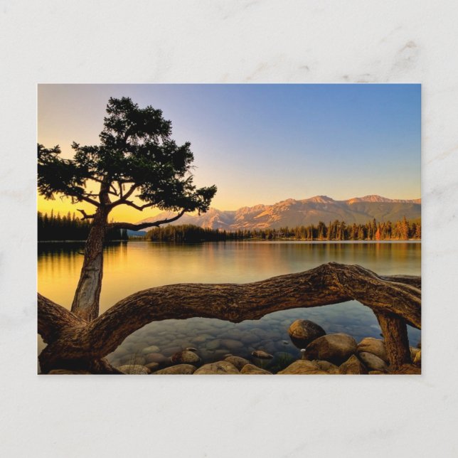 Belle carte postale de lac (Devant)