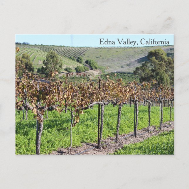 Belle carte postale Edna Valley ! (Devant)
