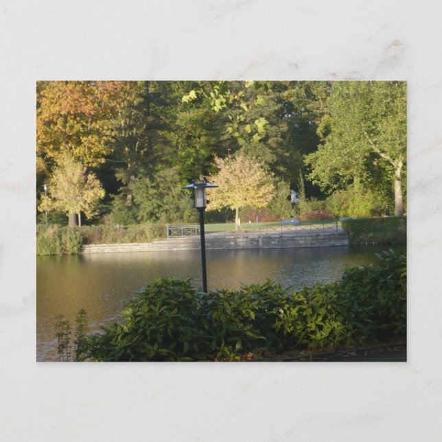 BELLE CARTE POSTALE EXPRESSIONS (Devant)