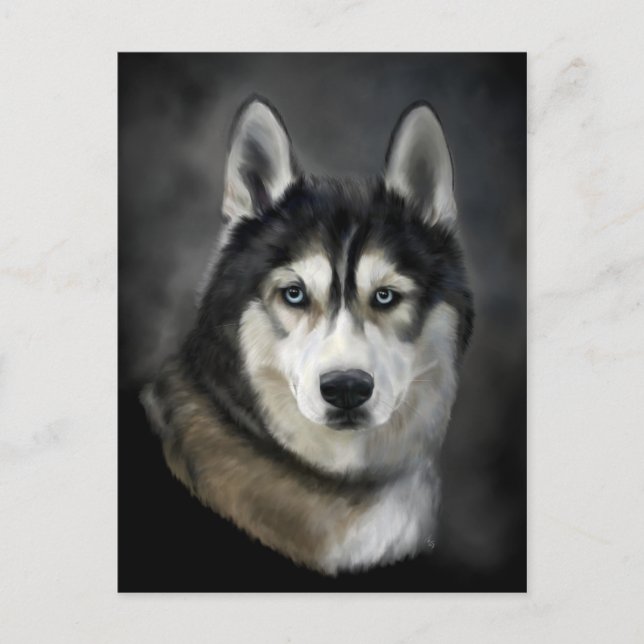 Belle carte postale Husky Sibérienne (Devant)