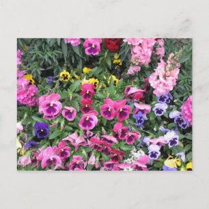Belle Carte postale Jardin