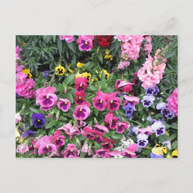 Belle Carte postale Jardin (Devant)