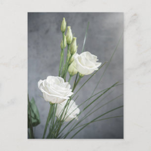 Belle carte postale Lisianthus White Flowers